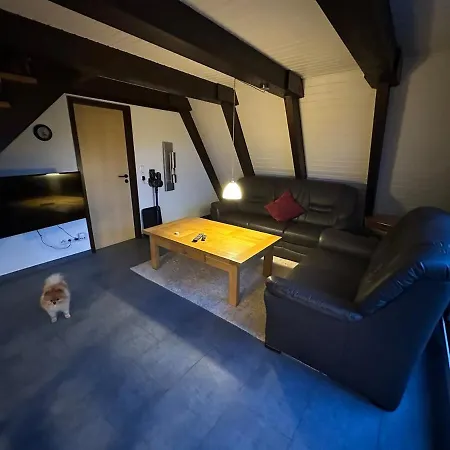 Pur-waldurlaub Im Tiny House Holiday home