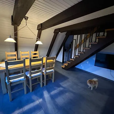 Pur-waldurlaub Im Tiny House Holiday home
