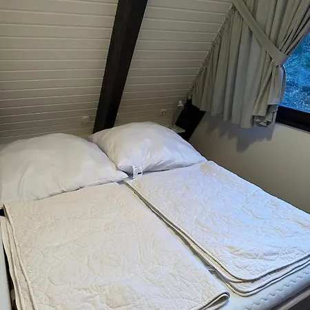 Pur-waldurlaub Im Tiny House Holiday home