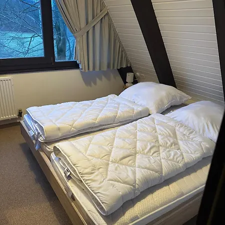 Pur-waldurlaub Im Tiny House Holiday home