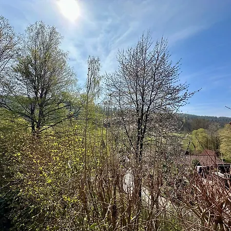 Pur-waldurlaub Im Tiny House *